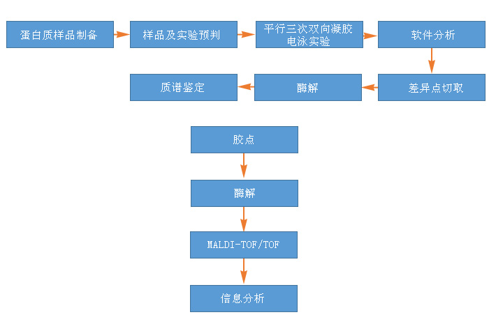 1-22050G30GW31.jpg
