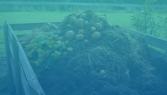 生物降解检测
