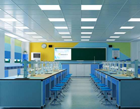 柯萨奇病毒A16型灭活检测