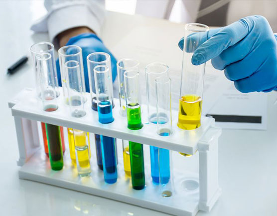 垃圾袋生物降解检测