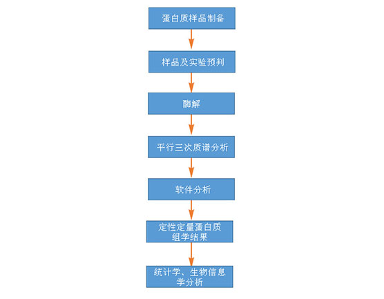 labelfree蛋白质组学的质谱检测
