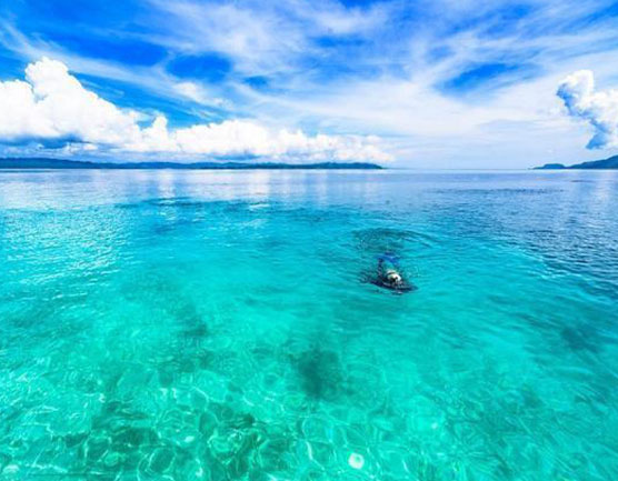 海洋生态监测服务