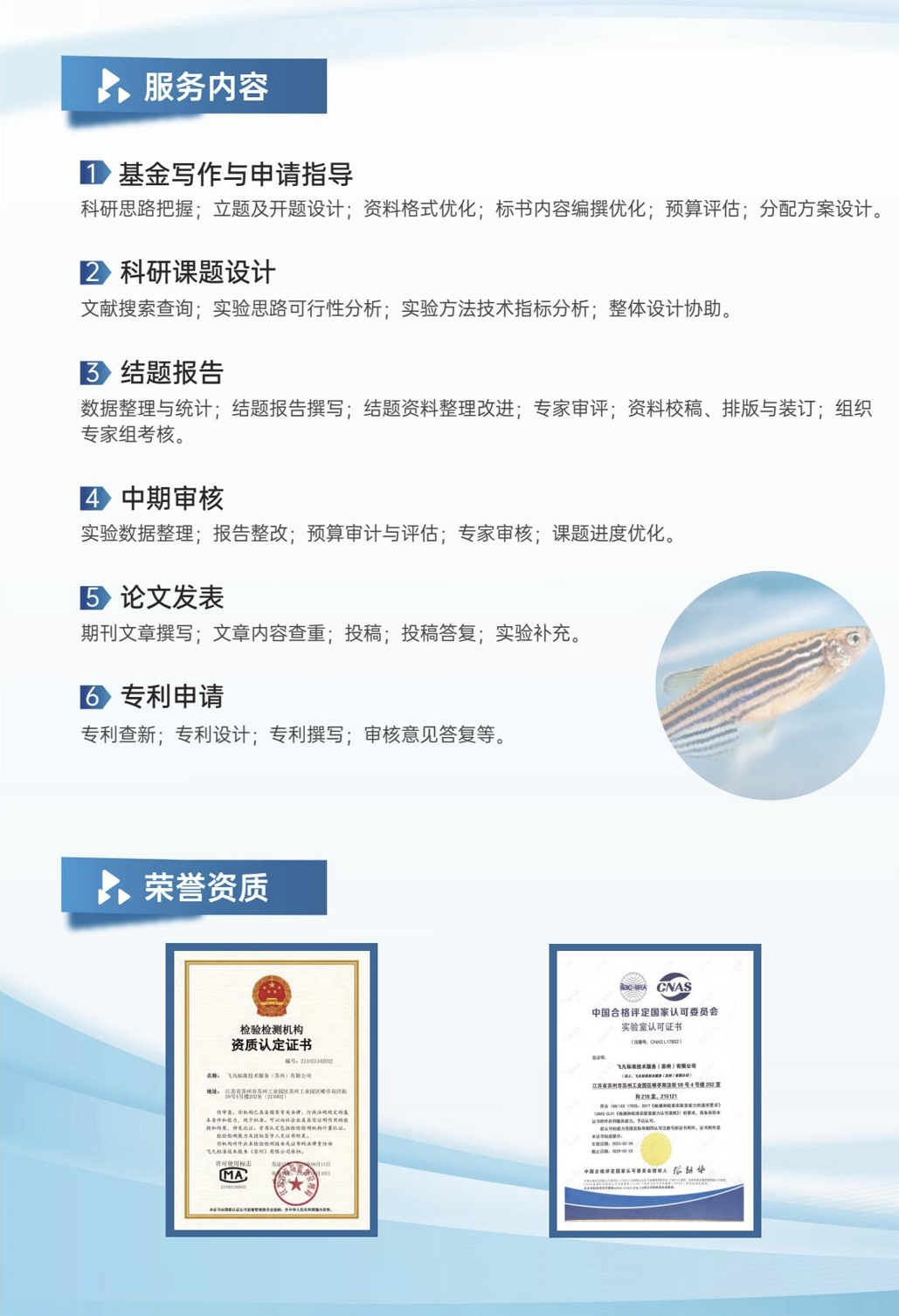 斑马鱼论文服务